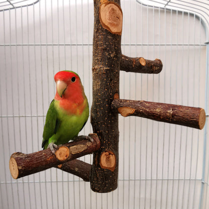 Parrot Bird Wood Stand Pole Toy - Pets Crazy Shops