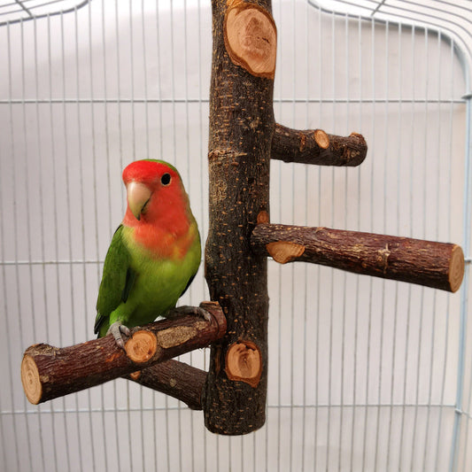 Parrot Bird Wood Stand Pole Toy - Pets Crazy Shops