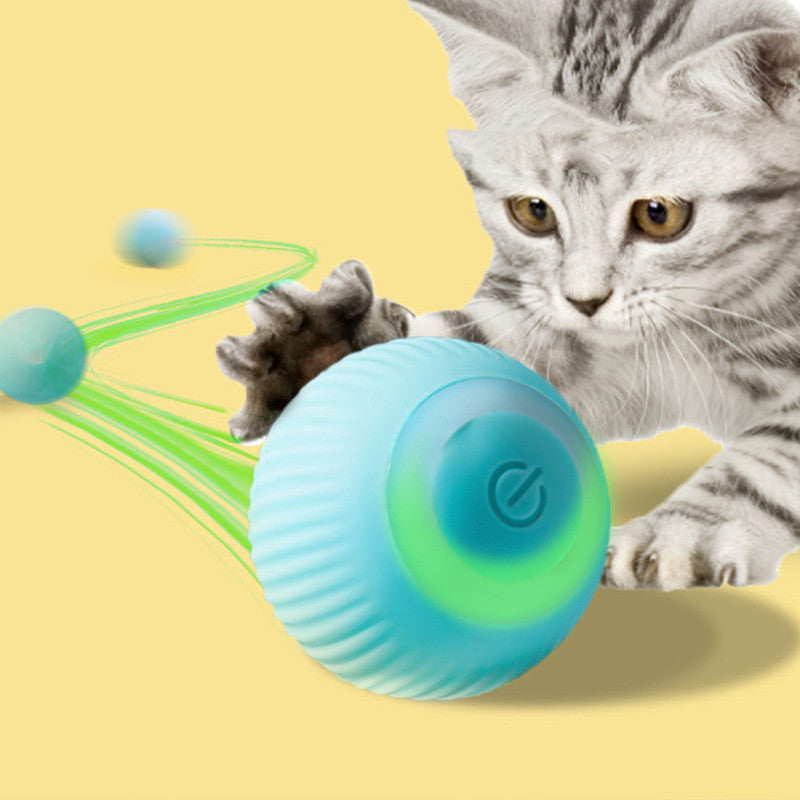 USB Rechargeable Gravity Electric Rolling Ball Electric Cat Toy - Pets Crazy Shops