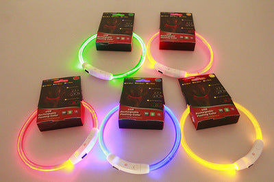 Pet Flashing Collar USB Rechargeable Glowing Necklace Safety Collar Light Up Collars For Night Walking Electric Dog Collar Neon - Pets Crazy Shops