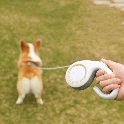 Pet Dog Supplies Automatic Retractable Leash - Pets Crazy Shops