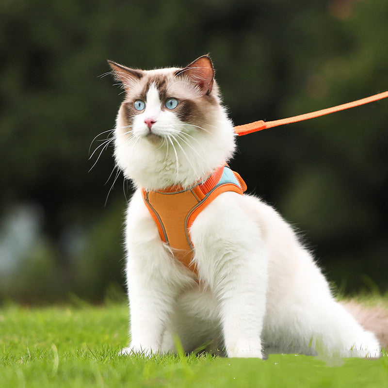 Anti Escape Reflective Cat Harness Leash - Pets Crazy Shops