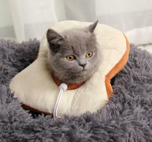 Adjustable Pet Neck Cone Recovery Pet Cat Recovery Collar Cat Soft Lemon Neck Cone Adjustable Pet E Collar After Surgery, Wound Healing Protective Cat Elizabethan Collar For Kitten & Puppy - Pets Crazy Shops