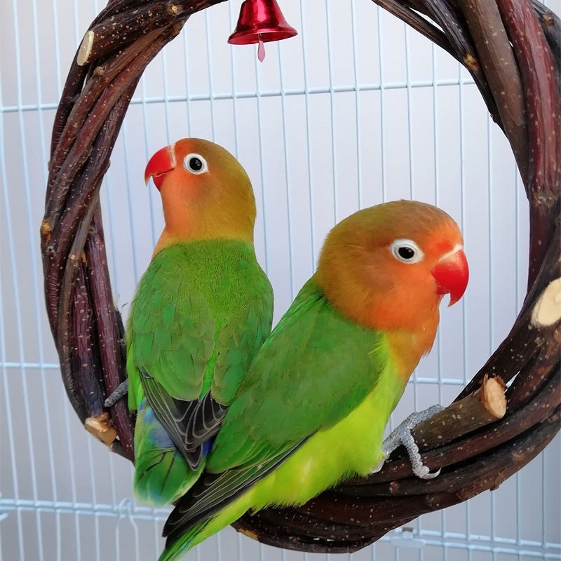 Bird Standing Frame Rattan Ring Chewing Toy Bird Cage - Pets Crazy Shops