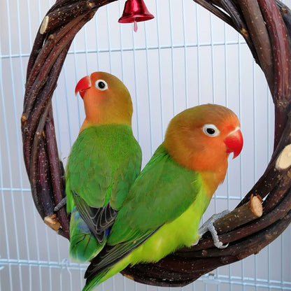 Bird Standing Frame Rattan Ring Chewing Toy Bird Cage - Pets Crazy Shops