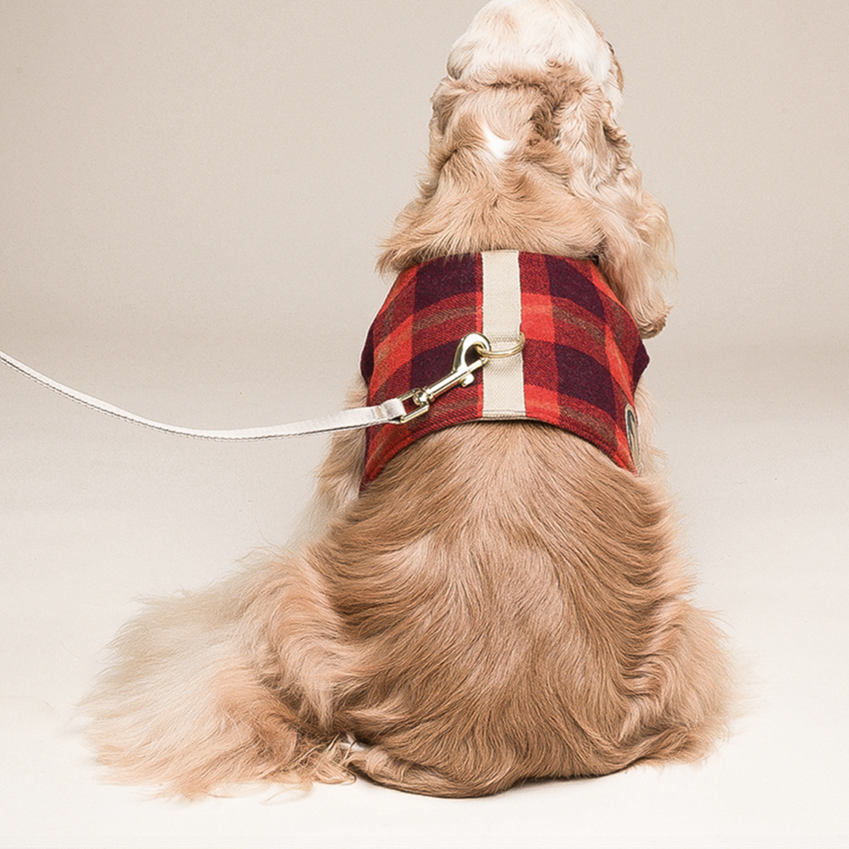 Dog Harness Small Dog Vest Type Leash - Pets Crazy Shops