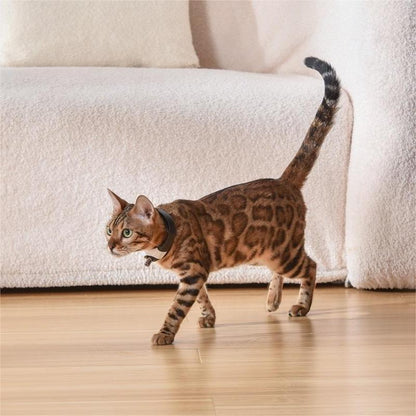Pet Cat Toy Laser Collar - Pets Crazy Shops