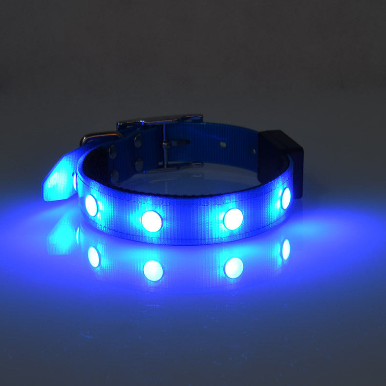 Luminous Waterproof Collar Adjustable Cat And Dog Collar - Pets Crazy Shops