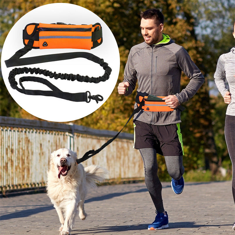 Pet Purse Leash For Dog Walking - Pets Crazy Shops