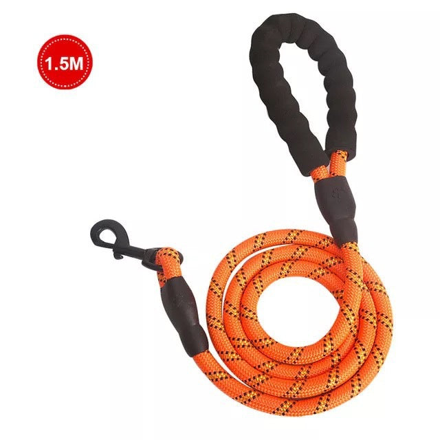 Small Medium Sized Pet Dog Luminous Leash Chain Puppies - Pets Crazy Shops