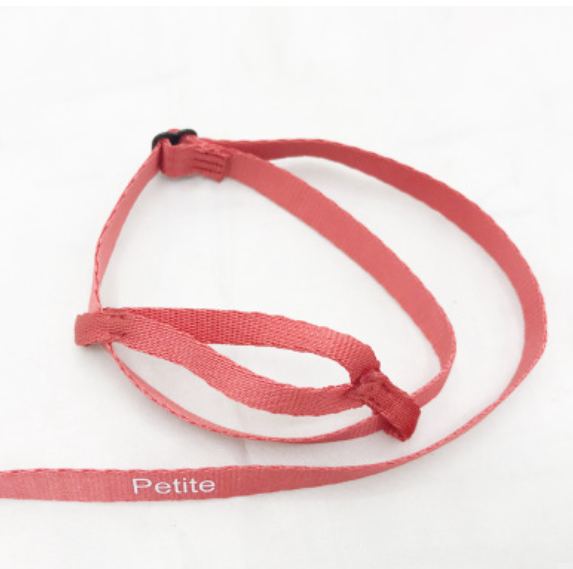 Parrot Flying With Flying Rope And Bird Harness - Pets Crazy Shops