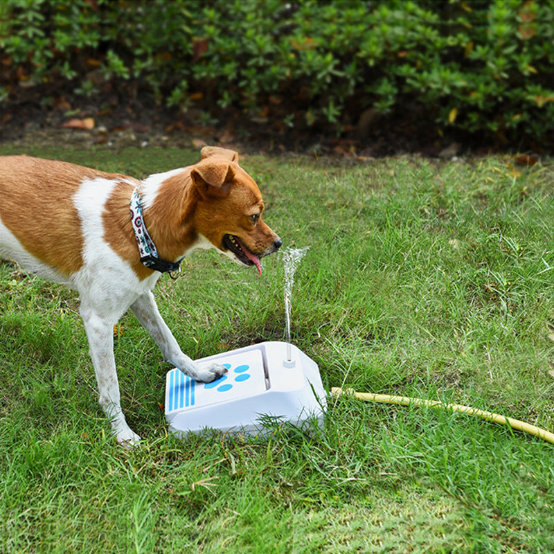Outdoor Supplies Dog Water Feeder Intellectual Toys - Pets Crazy Shops