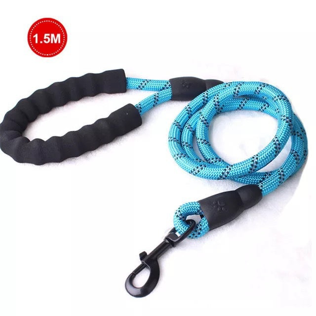 Small Medium Sized Pet Dog Luminous Leash Chain Puppies - Pets Crazy Shops