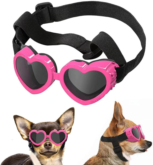 Pet Glasses Windproof Eye Protection Accessories - Pets Crazy Shops