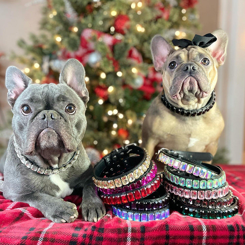 PU Dog  Cat Collar - Pets Crazy Shops