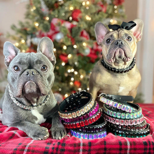 PU Dog  Cat Collar - Pets Crazy Shops