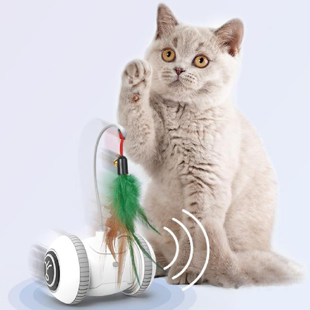 Interactive Cat Toy With Interchangeable Heads  Pet Feather Toys - Pets Crazy Shops