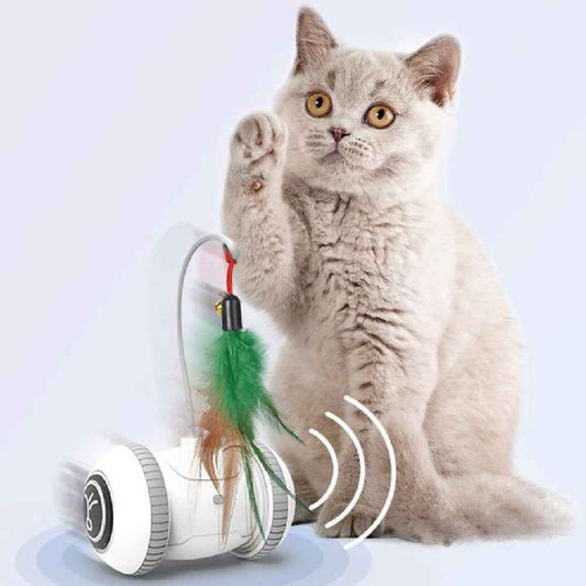 Interactive Cat Toy With Interchangeable Heads  Pet Feather Toys  -  - Pets Crazy Shops -
