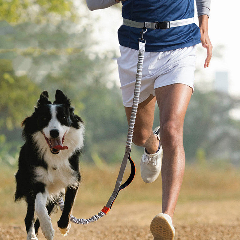 Pet Supplies Outdoor Running Dog Leash - Pets Crazy Shops