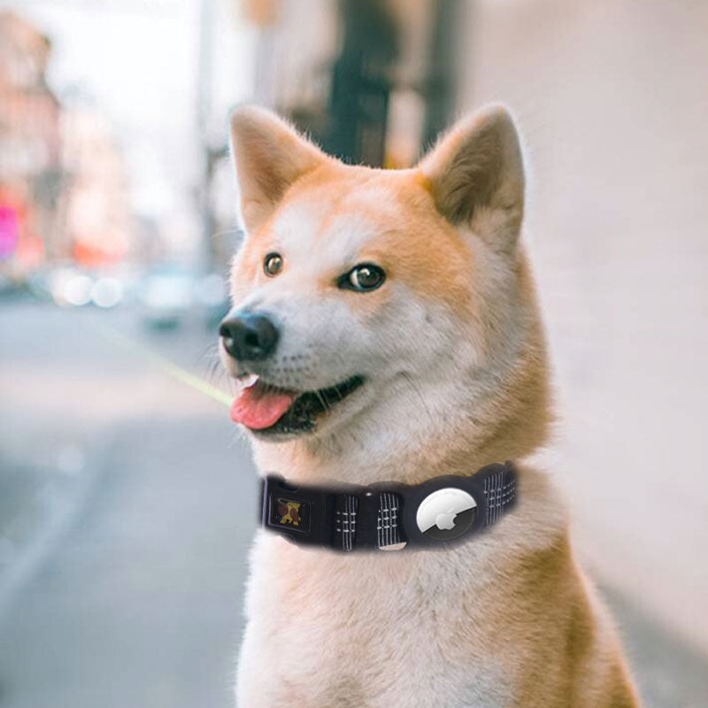 Pet Products Mobile Phone Tracker Protector - Pets Crazy Shops