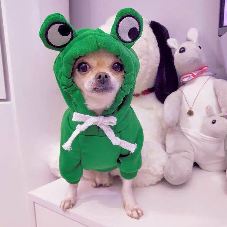 Fruit Dog Clothes Two-legged Hooded Outfits Green Fleece Clothing Autumn Winter Hoodies - Pets Crazy Shops