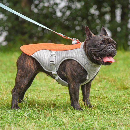 Summer Pet Outdoor Breathable Cooling Vest - Pets Crazy Shops